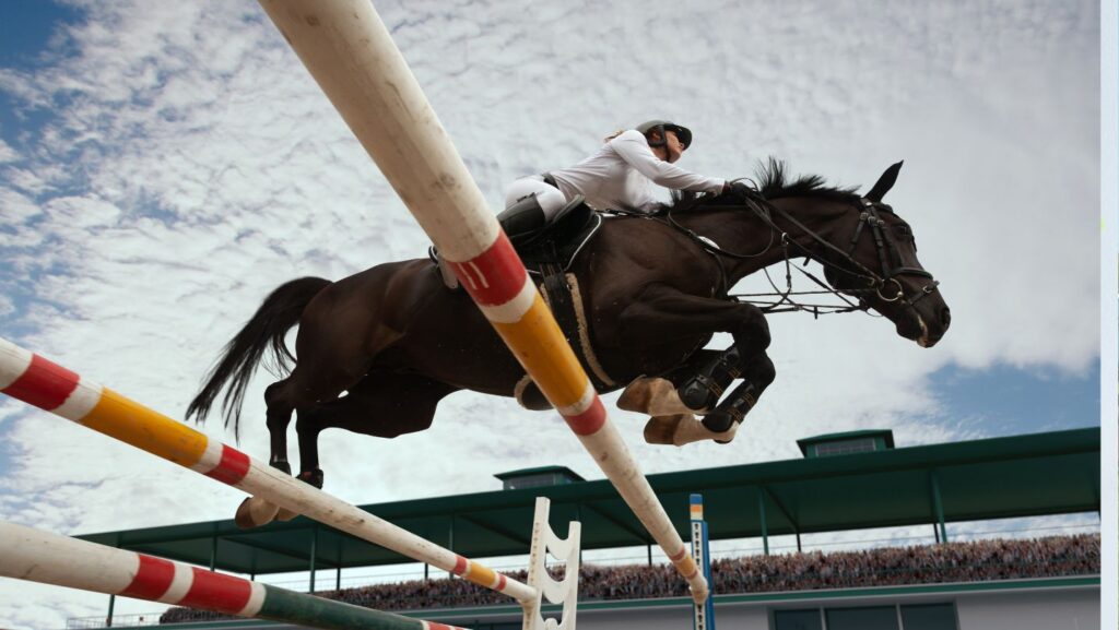 Equestrian-Marketing.jpg