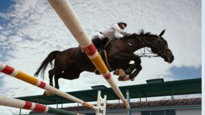 Equestrian-Marketing.jpg